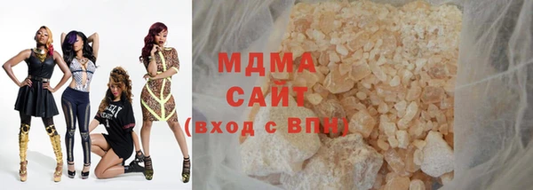 гидра Гусев