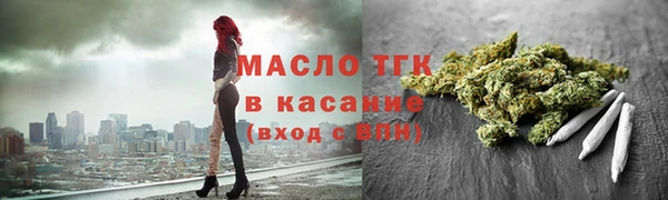 гидра Гусев