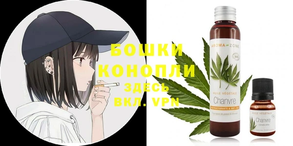 гидра Гусев