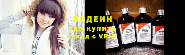 гидра Гусев