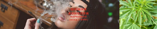 гидра Гусев