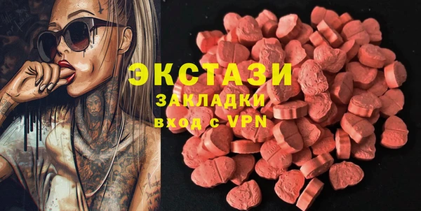 гидра Гусев