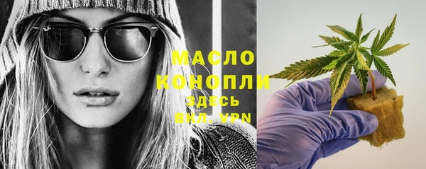гидра Гусев