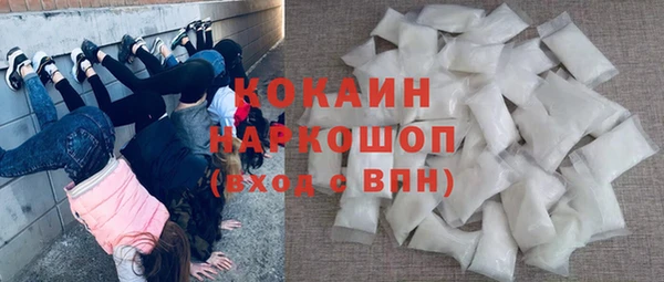 гидра Гусев