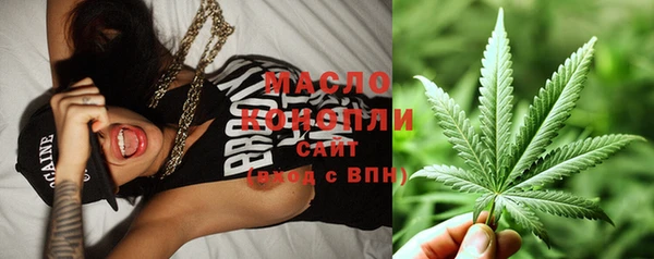 гидра Гусев