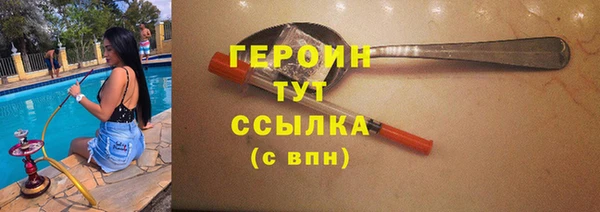 гидра Гусев